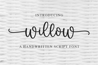 Willow Font: a Modern, Elegant Typography Choice